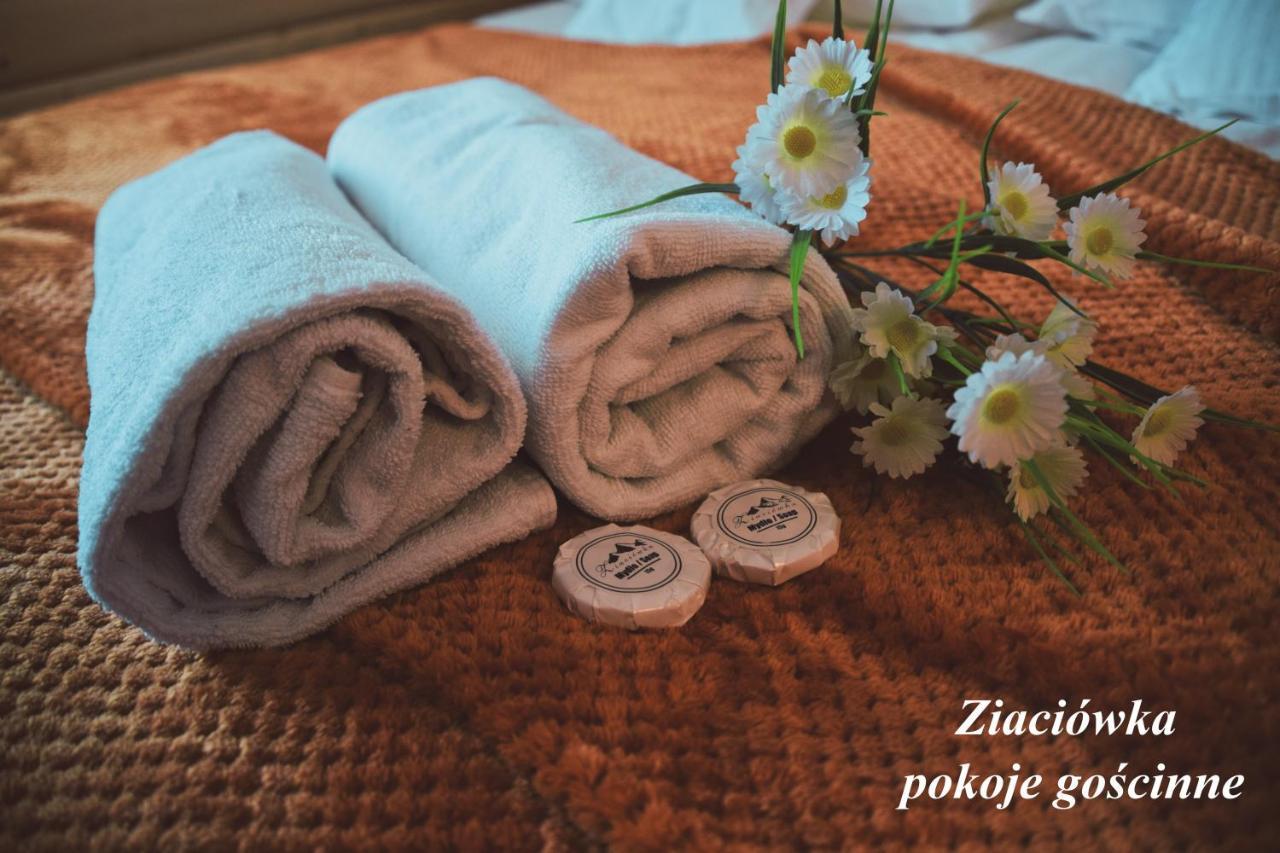 Apartmán Ziaciowka Rzepiska Exteriér fotografie