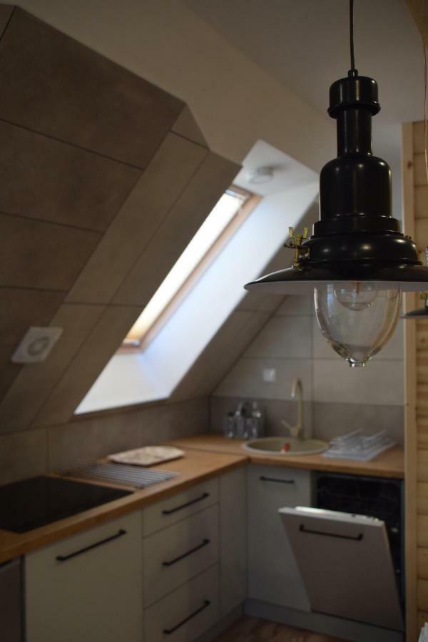 Apartmán Ziaciowka Rzepiska Exteriér fotografie